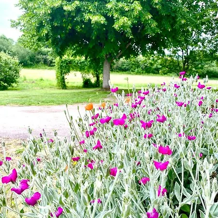 Nyaraló Spacious In Normandie Moulins-le-Carbonnel