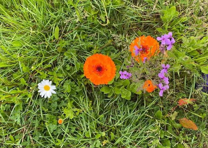 Casa vacanze Spacious In Normandie