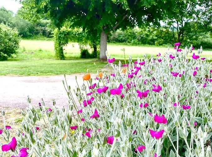 Casa vacanze Spacious In Normandie Moulins-le-Carbonnel